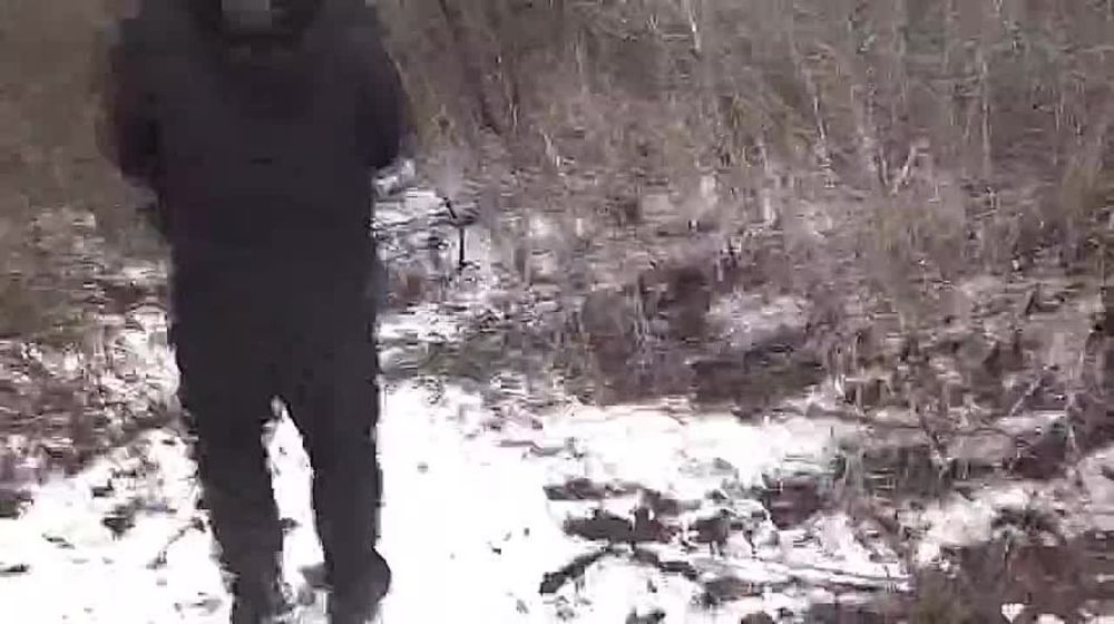 � �������� ��������� ���������������� ������������, ���������� �� �������� � �����������