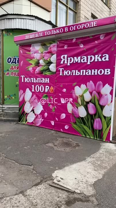 ����� ��� ����� �� ������