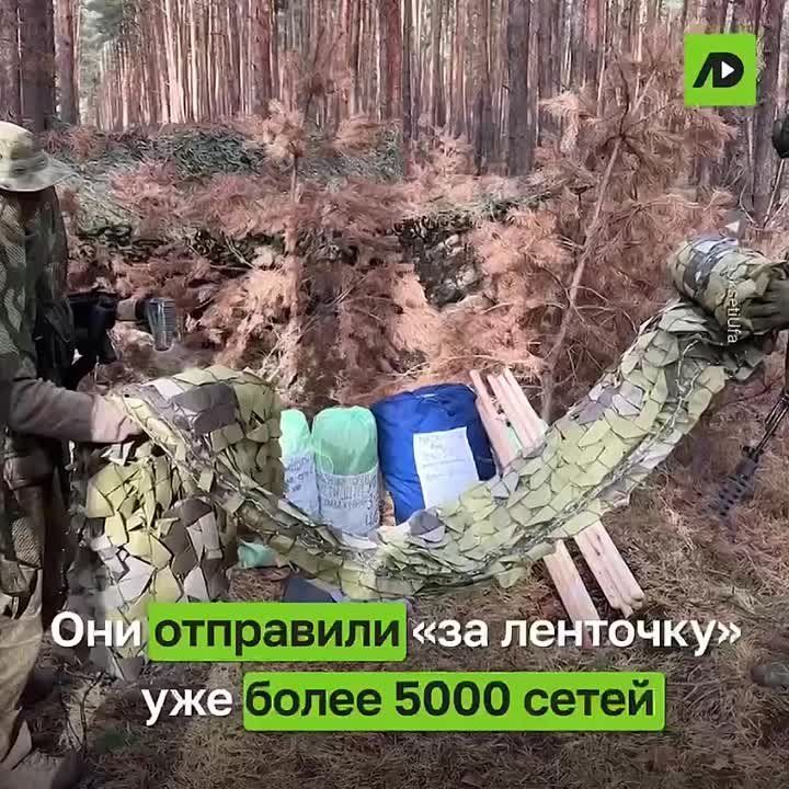 ��� ������� �� ���������� ������������ ������ ������ ���� � ������ � ���������� ��� �������� ������������� ����