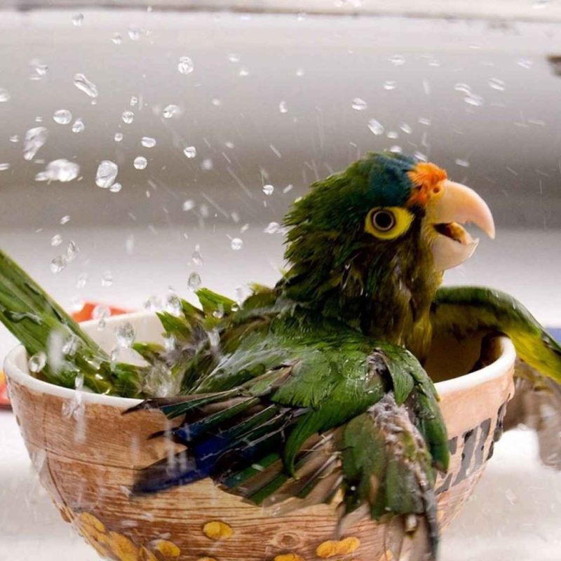 5 ����� � �������� �� ������� ��������� �������� ���������� ������ ���� �� �������: