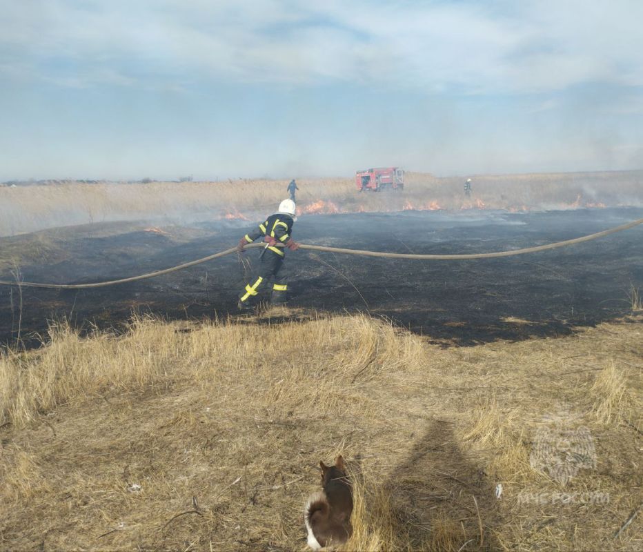 � ������ 101 �������������� �������������� ������ ��������� ��������� � ��������� ����� ����� � ���� ��������