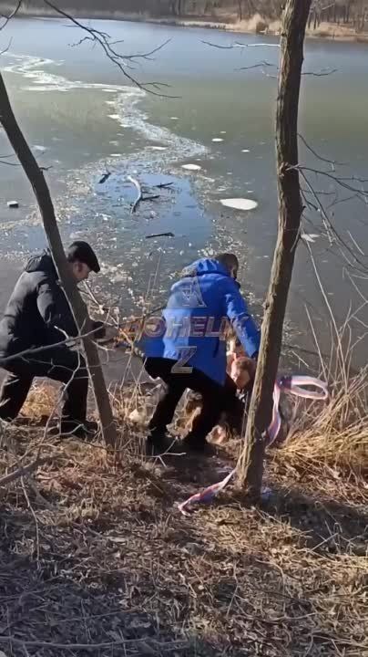 ���� - ������ �� ����!. ���� �� �� ������� ������, ������� ����������� ��� ��