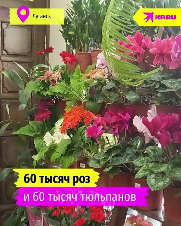 ������ ���������� ������� ������ ������� � ����� � ���������� ���������