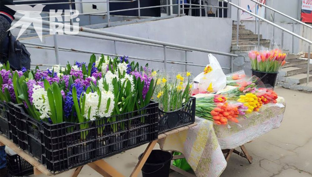 ����� �� ������������, �� ������ � � �������������: � �������� ��������� � 8 �����