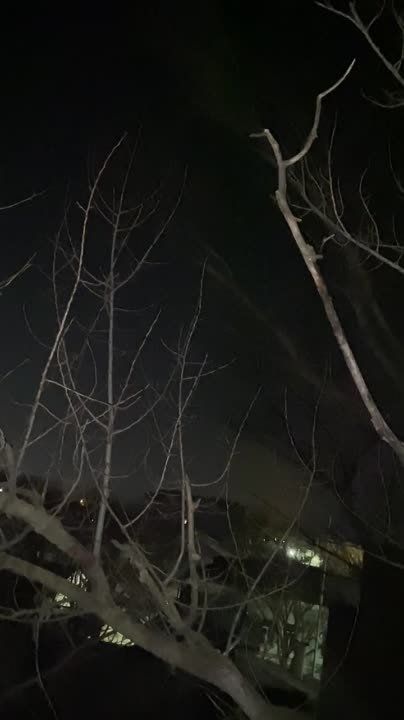 ����� ���� � ��������� �� ������� ����������� �����������