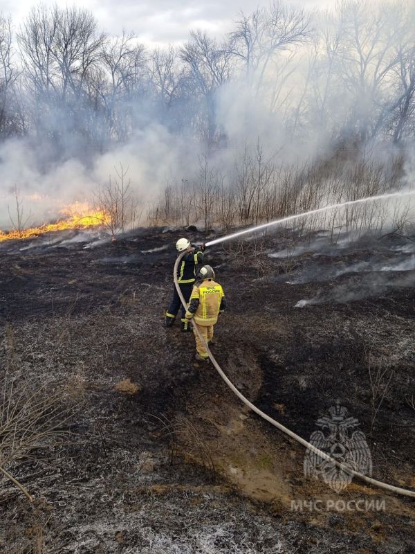 �� ��������� ����� �� ���������� ��������� �������� ���������� ���������������� 63 ������