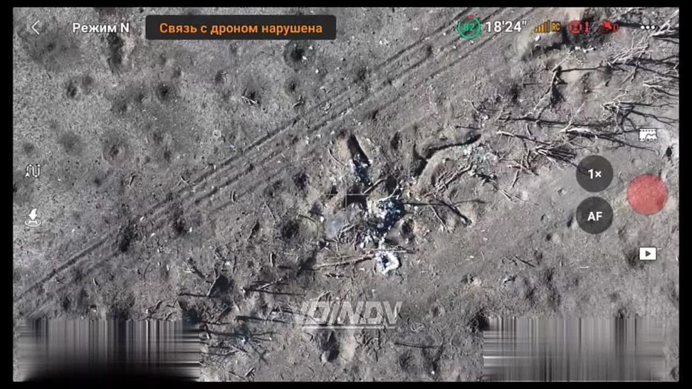 ����� ��� �������? ������� ����� �������� ����������