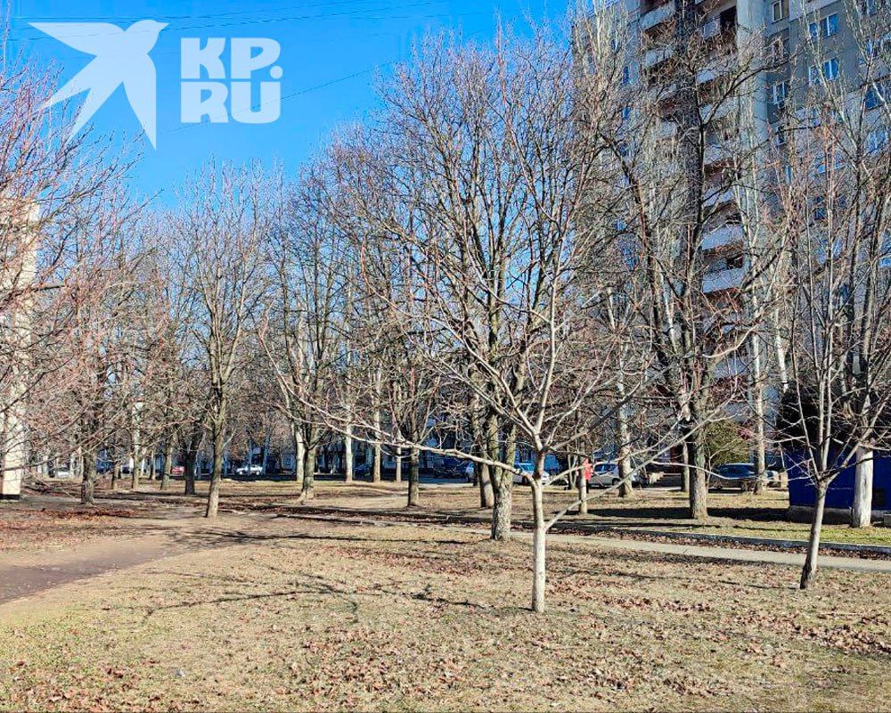 � ��� ���������� �� -12 ��������