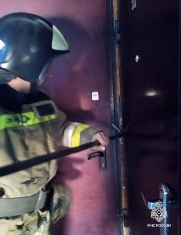 � ������ 101 �. ���������� �������� ����� � ���, ��� � �������� �� 4 ����� �� ����� ����������� �������� �������� ������� 2020 ���� ��������