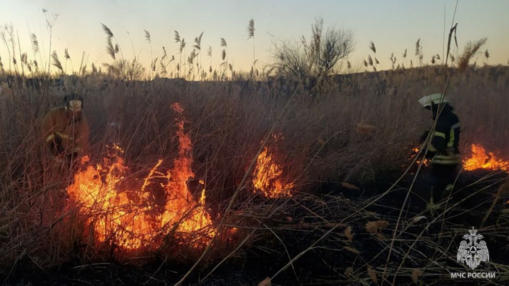 �� �������� ����� � ���������� ������������� 20 ����������, �� ��� 10 � � ����������