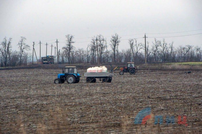 ЛНР. Более 200 предприятий агропромышленного комплекса ЛНР в 2023 году воспользовались мерами государственной поддержки «В...