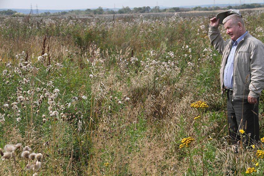 � ���������� ������������ ����������� ��������������� ������ ��������������������� ����������