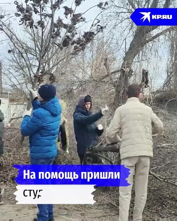 ������� ���������: �������� �� ���������� ������ ������� �� ����� ���� ������� � ��������