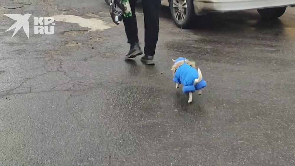 ����� ����� �������� �������� ����, �� ������� �� ����� �������� �� �����