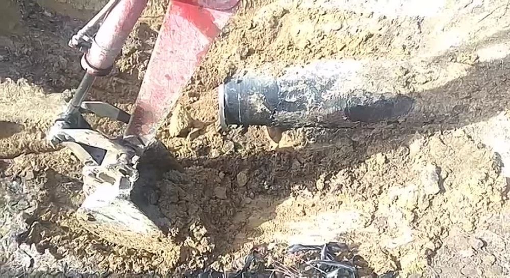 ����� 1000 ������ ����� ���� ��������� ����������� ��� ��� "�����������" �� ������������� �������� � ����������� ������ �� 2023-2024 �