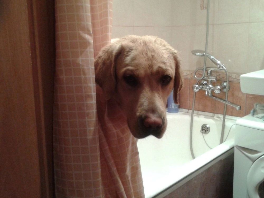 15 ����� ��� ���������� ��������-����������������� ����� �������������� �� 18:00 ����� ���������� ������ ���� �� �������: