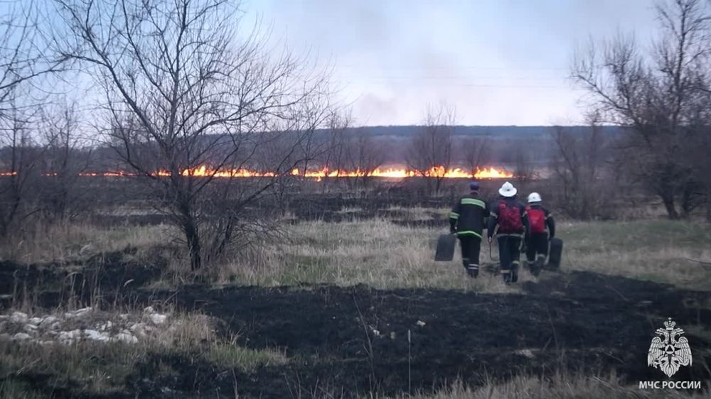 ��������� ��� ������ ����������� ������� ����������� ������� �� ���� ���������� ����������