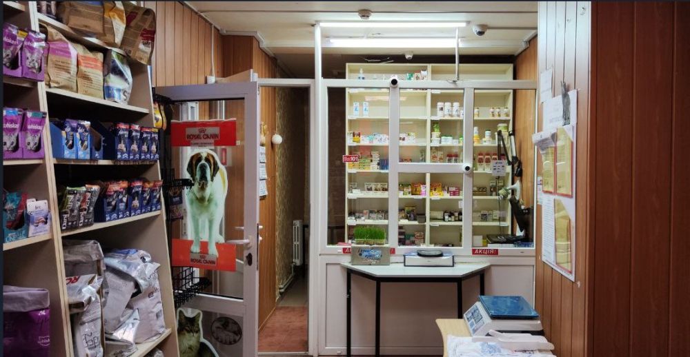 ����������� ����������������� �� ��� � ������ ����� 2024 ���� ������ 4 �������� �� �� ������������� ���������������� ������������