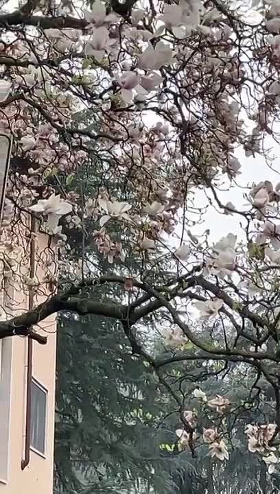 �� ����� ����� �������, ��� ��������� ����������� �� ������, �������, � ����� � ������ � ����