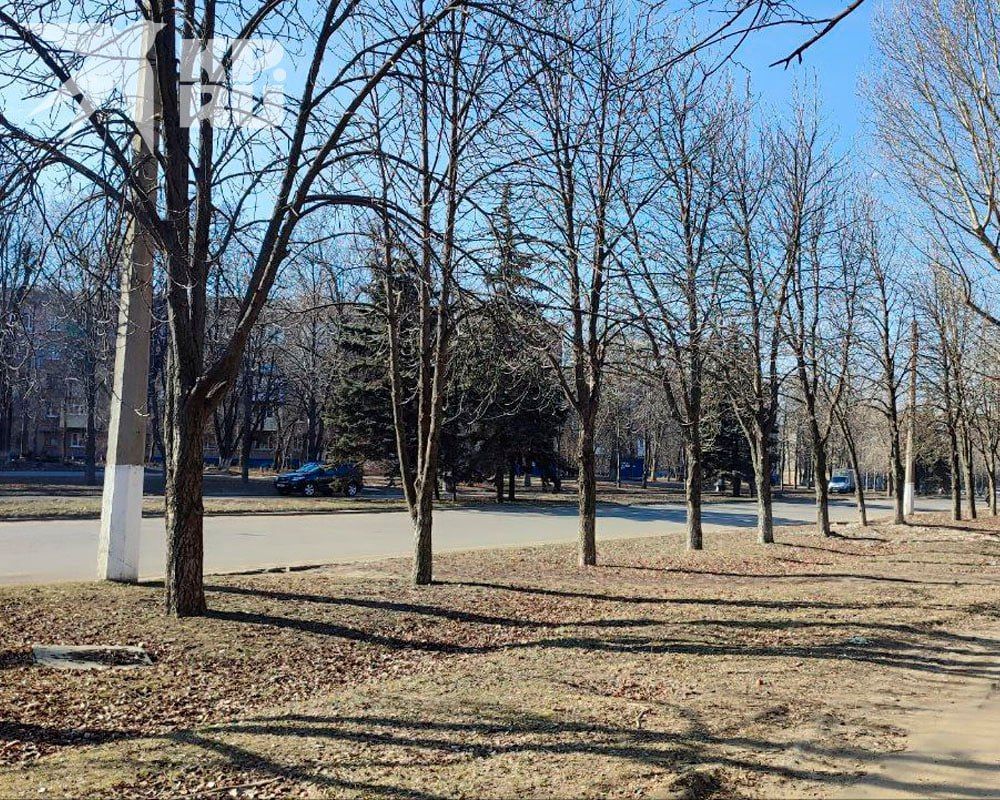 � ��� ��������� ��������� ����� 17 �����