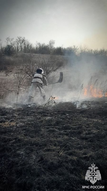 ����������� ������ �� ����� ����� �������