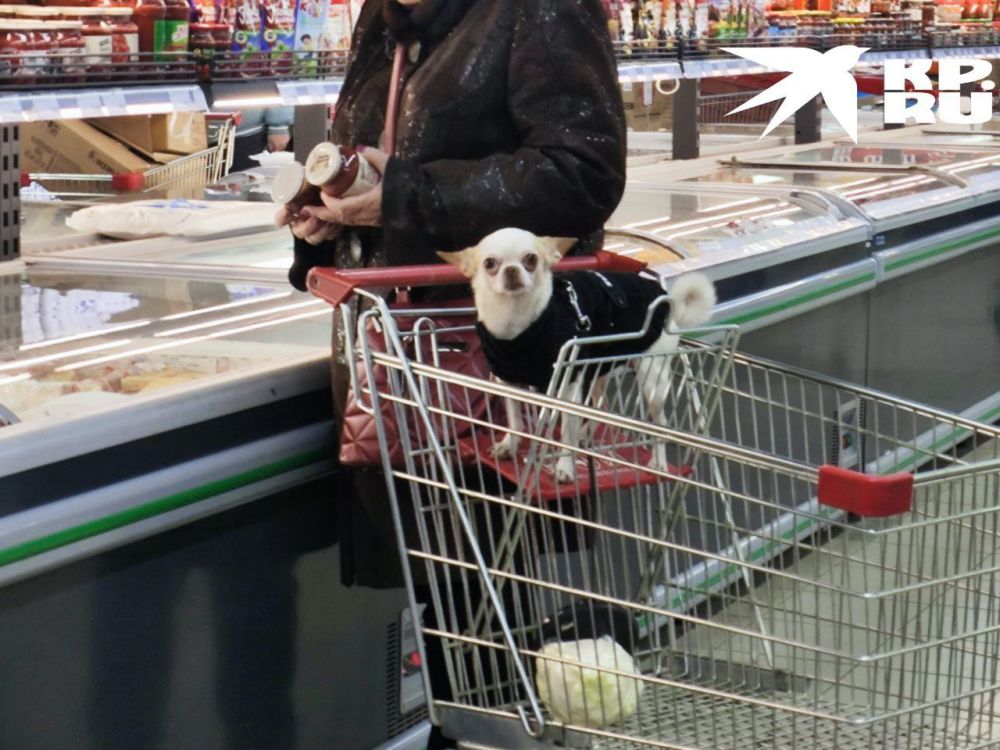 ������ ����� ��� ��������� � ��������