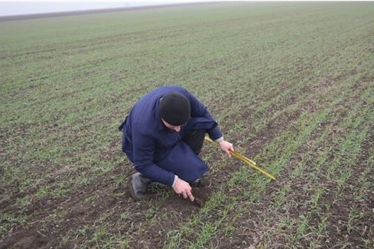 ���������� ���������� ���������������� ������ ������� ���� ���������������� �������� � ��������� ������ ������� �������� �������� ��������� ������ ��������