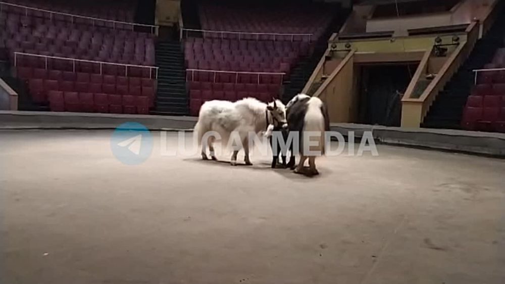 � ���������� ��������������� ��������� ����������� ������ ������� 10 ����� �������� �� ���� ����� ������������ ������ � ��������� ������� ���