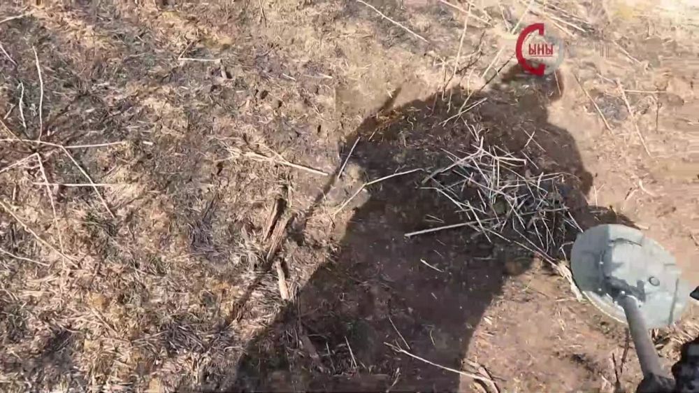 ������ ���� �������. �������������� ���������� ��������� �������� ����������