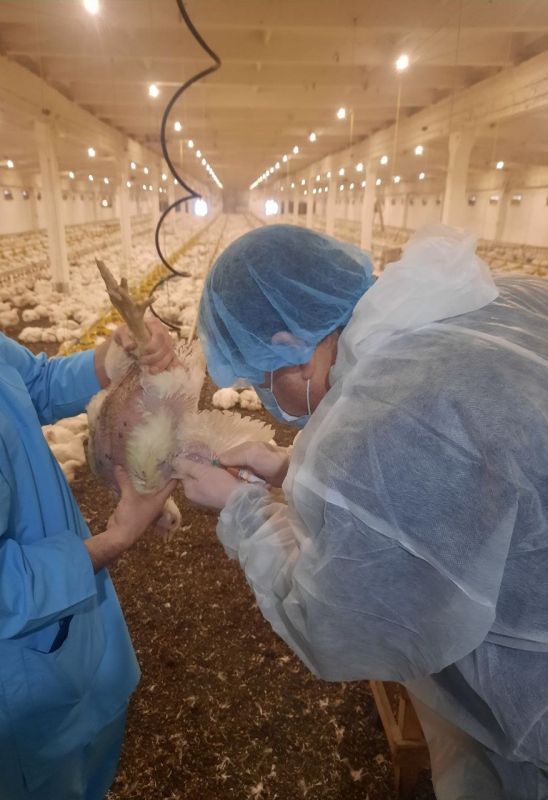 ����������� ����������������� �� ��� � ������ ���������������� ����������� �������� ���� ������ ���� �� 1 ������� 2024 ����