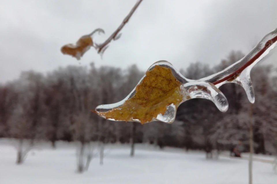 �� +12 �������� ��������� � ��� 20 �����