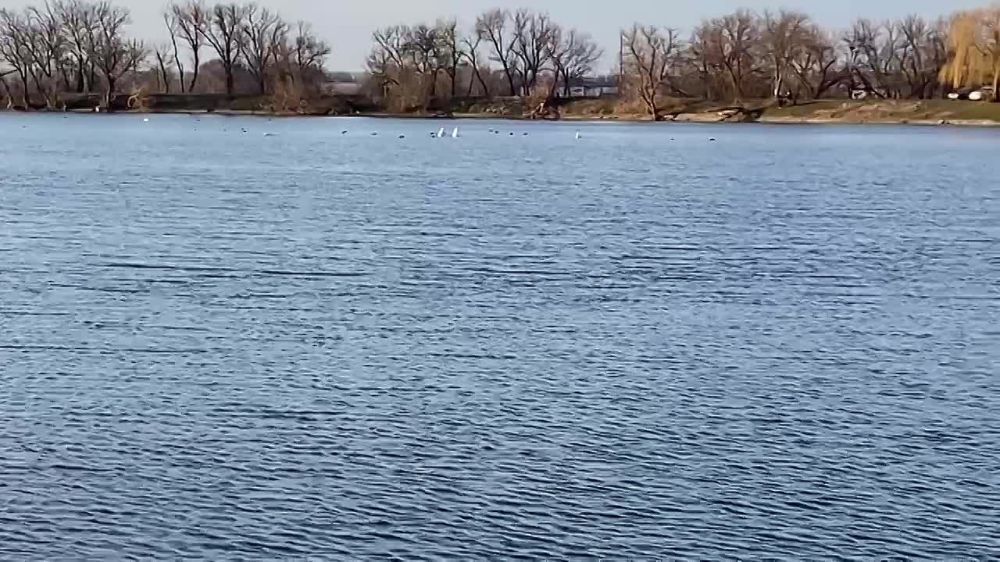 ����� ���������. �� ��������� ������������� ��� �� ��� ������� ������