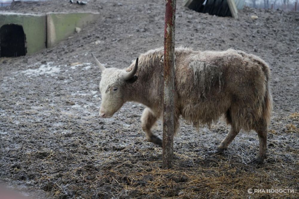 � �������� ������� ��� ������� �� ����� ��������� �����������