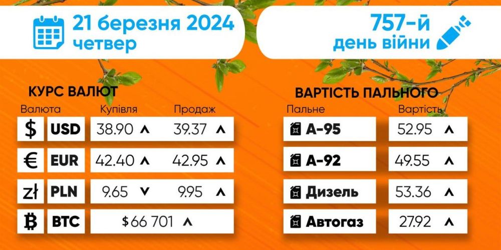 �� ������� ������ ���� �� ������, � ����� ���������� ���������� �����