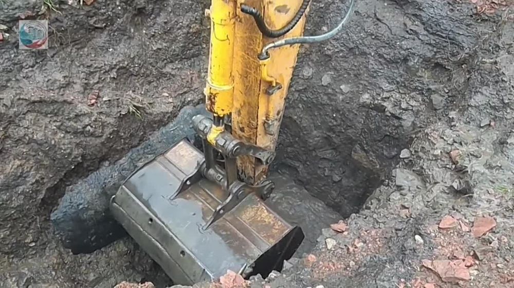 "�����������" �������� ���������������� ������ �� ������������� �������� ��� ��������� ���������� ����