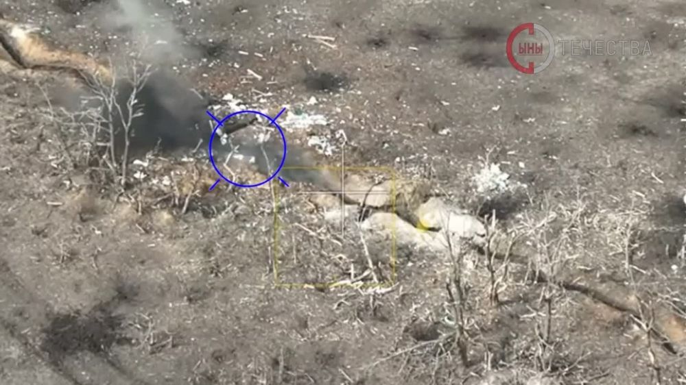 ���� ����� - �������������� ������������� 123 ������� ����� ����������� ����� ���������� ������� ���������� �������� � ������ �����������