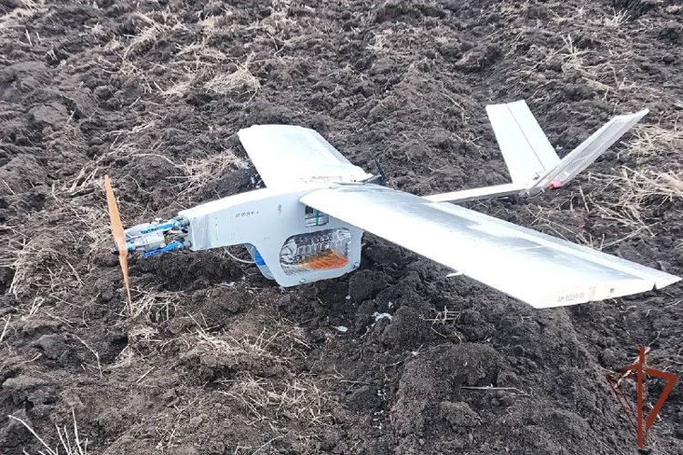 ������������ ����������� ���������� ��������� ���������� ����������� � ��� (����)