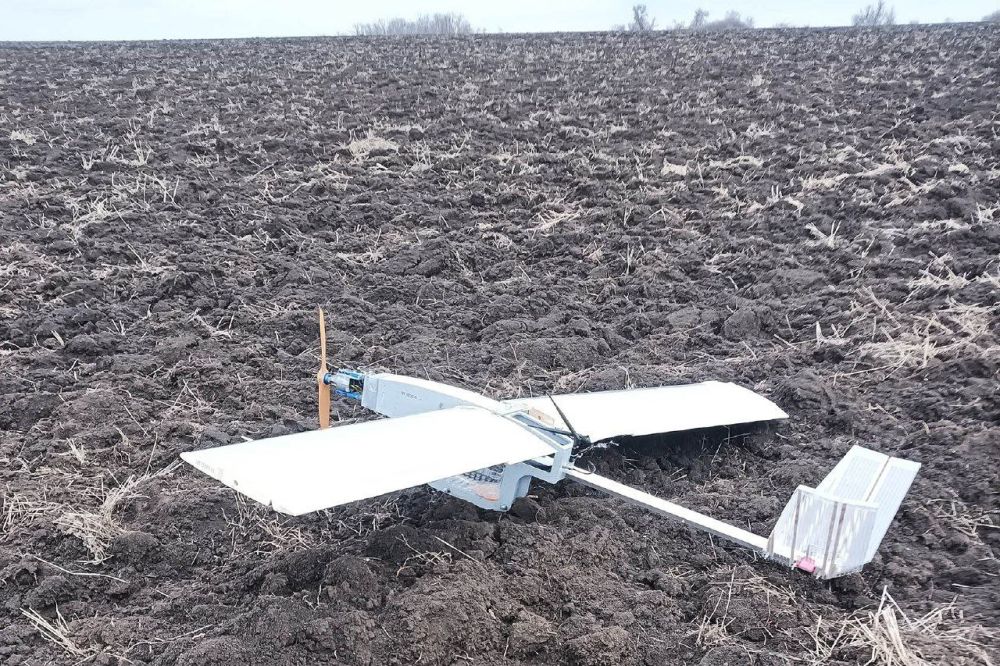 ������������ ����������� ���������� ��������� ���������� �����������