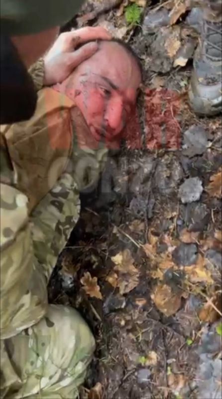 ����������� ���� ��� ������ ����������������������