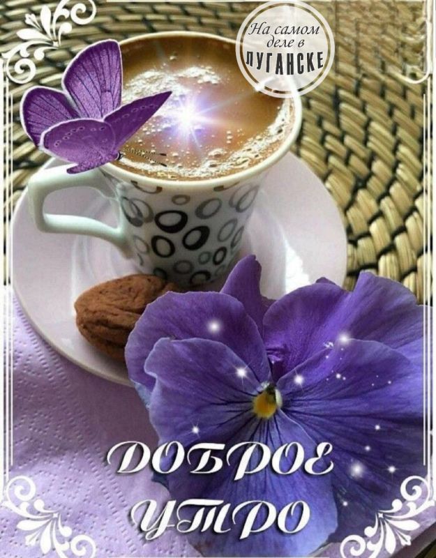 ������ ����, �������!. �������� ������ ����� ��������� � �������� � ��������� �������� ���������� �� ������ ������. ��� �������