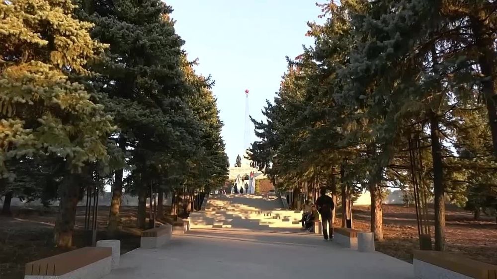 �����������. ����� �����������: ������ ������