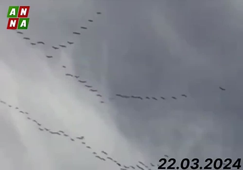 ������, ����� �� ���� ���� �������