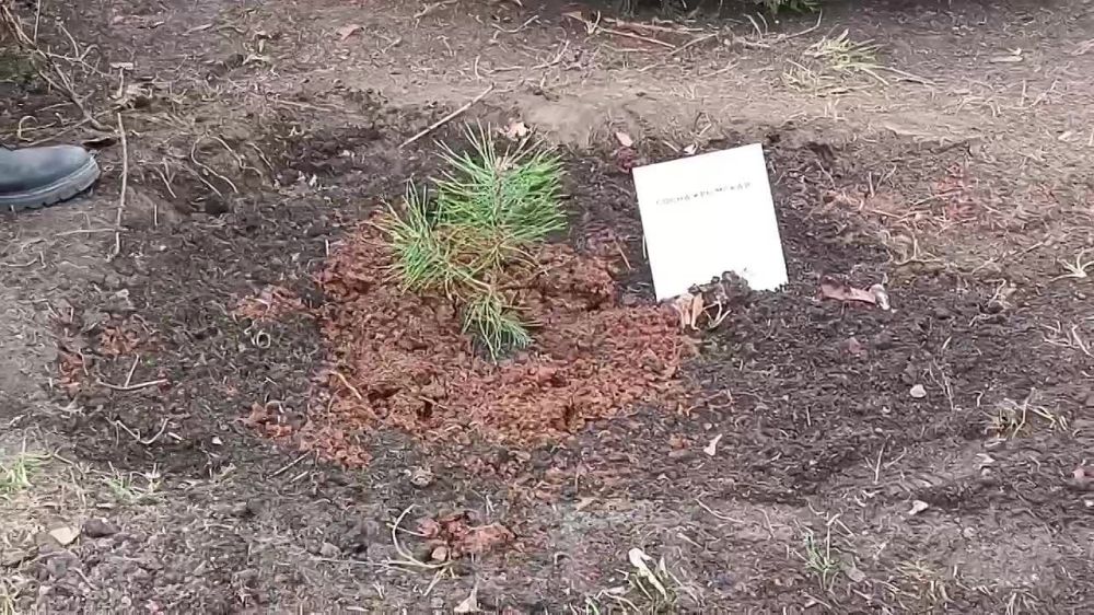 ��� ���� �������� ����� �������� � ��������