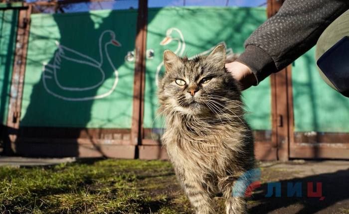 ��������� �������� ���������� ��������� ��������� ������ ����� � ��� ����� ������ � ��������� �������