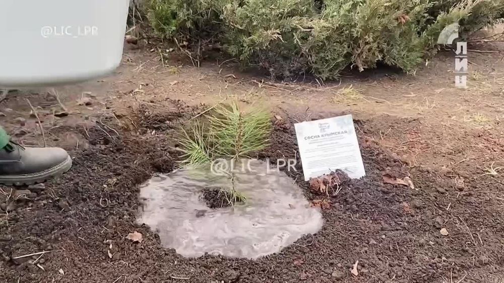 ������� �������� �����, ���������� � ��� � �����������, ������� ������������� ������ � �������������� �������� � ���������� ����� ���������