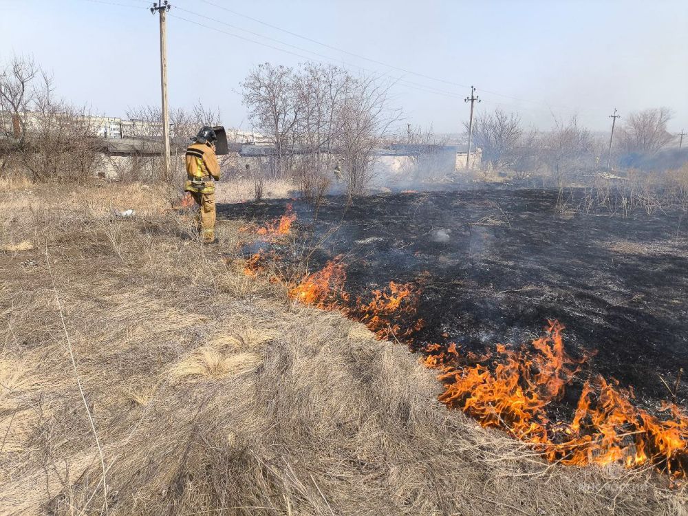 ��������� ��������� ���������� ������������� ���������, �� ��� ���� ���������������� �� ����� ������