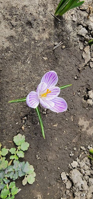 Андрей Марочко: 26.03.2024. Луганск. Весна