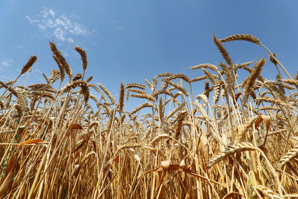 � ��������� �������� ���������� �������������� ��������� ��������� ��������