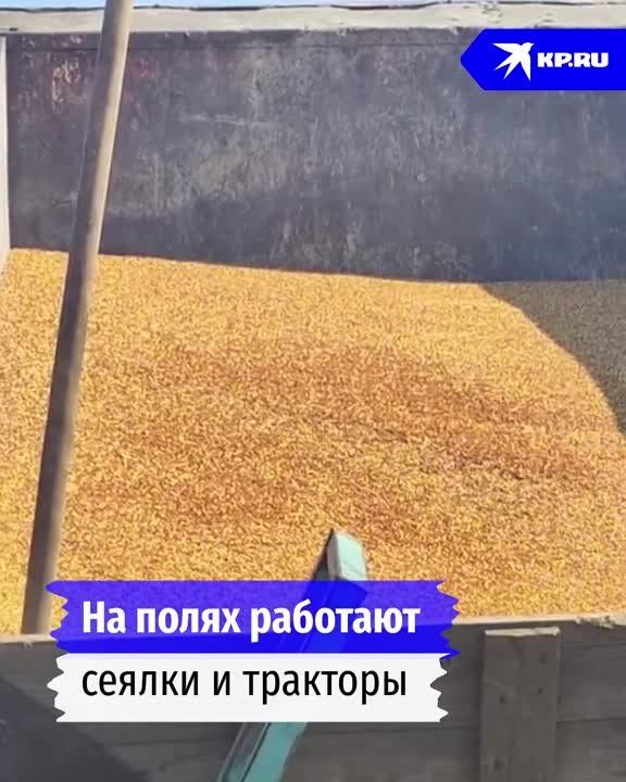 ������� � �����������: ��� ������ �� ���������� ��������� �������� ��������� ������