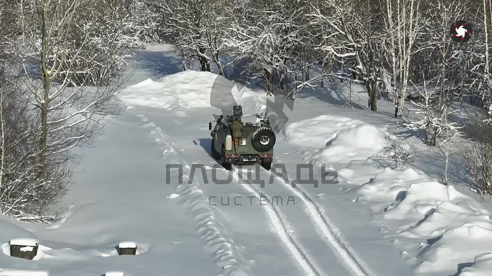 ����� ��������� ����������������� ������������ ��������� ���������, ���������� ��������� ���������� �� ���� ��� ���������������� � ������� ���� � �������������� �������������� ����������